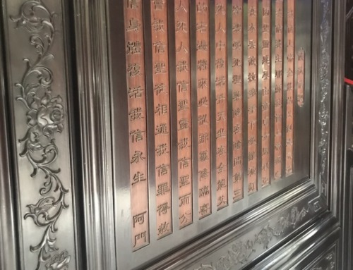 a class on daosim